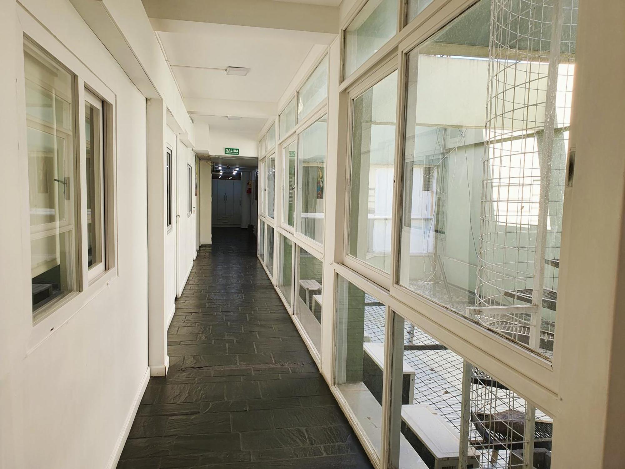 Hostal Con Piscina En Palermo Soho! Μπουένος Άιρες Εξωτερικό φωτογραφία